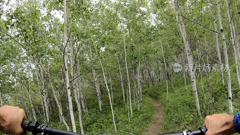 山地电动摩托车沿着森林小径骑行