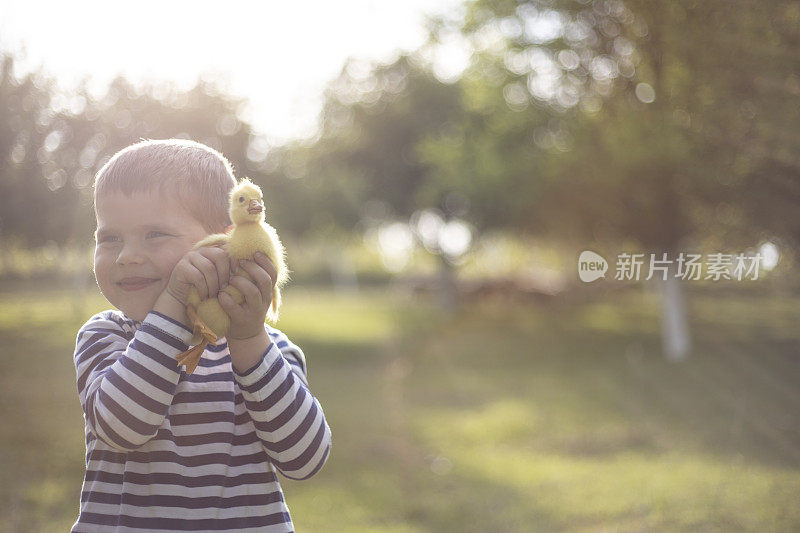 一个小男孩和他可爱的鹅的肖像