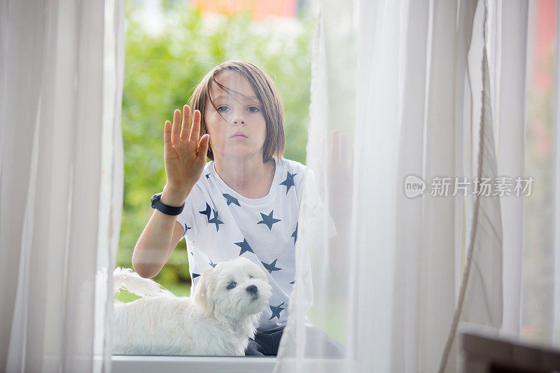 孩子和狗，男孩和马耳他小狗品种的狗，坐在窗户后面