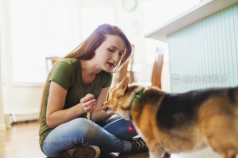 年轻的千禧女性与宠物狗共度美好时光