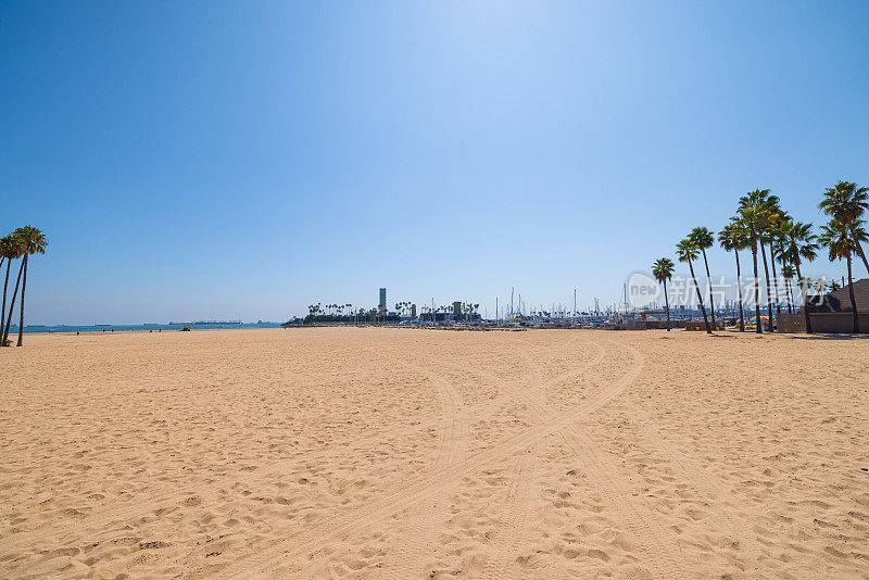 加州长滩的棕榈树海滩