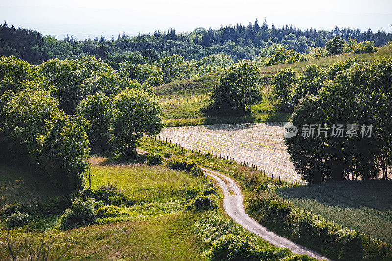 鸟瞰图通过草地和法国在阿尔卑斯山脉的田野在春天