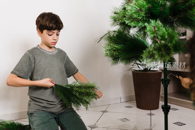 男孩在布置圣诞树