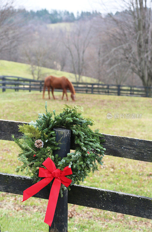 农场上的圣诞花环和牧场上的马