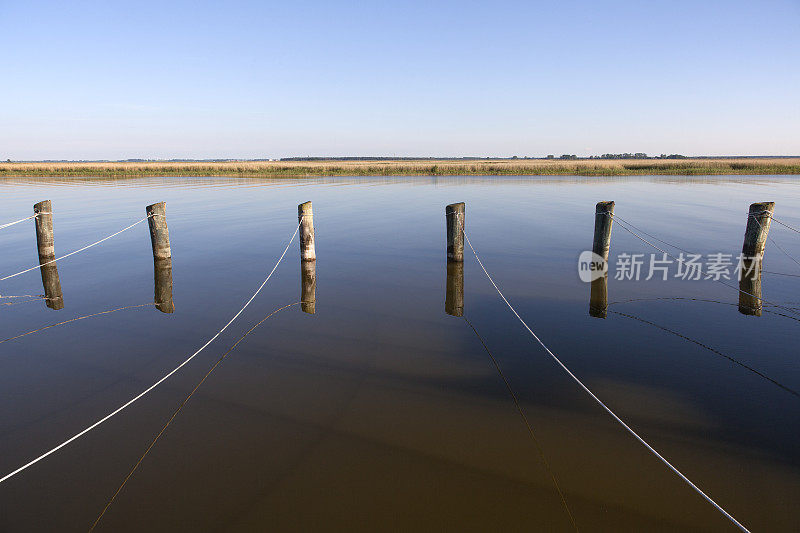 在波罗的海的一个海湾的水中用绳子绑着的木杆