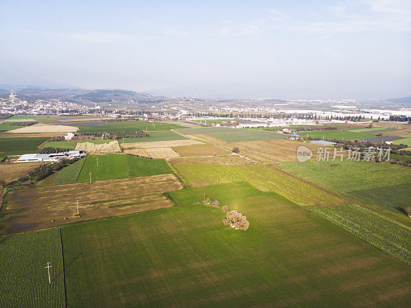 田野上空的鸟瞰图