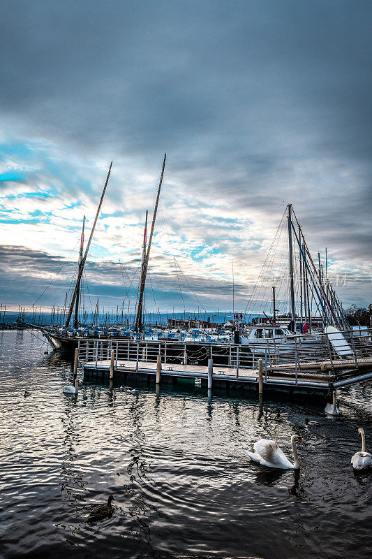 日落湖Léman码头洛桑，瑞士