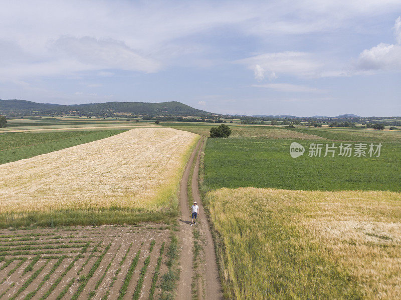 一个成年的农民在他黄色的农场里耕种春天的土地。鸟瞰图。