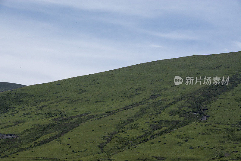 塔贡草原