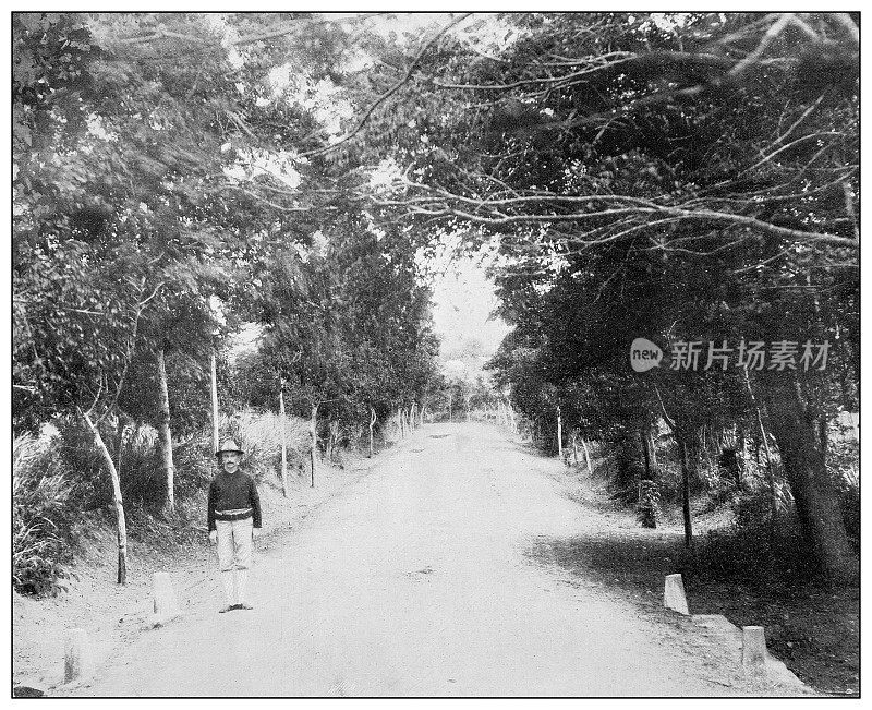 古色古香黑白照片:科莫附近的公路，波多黎各