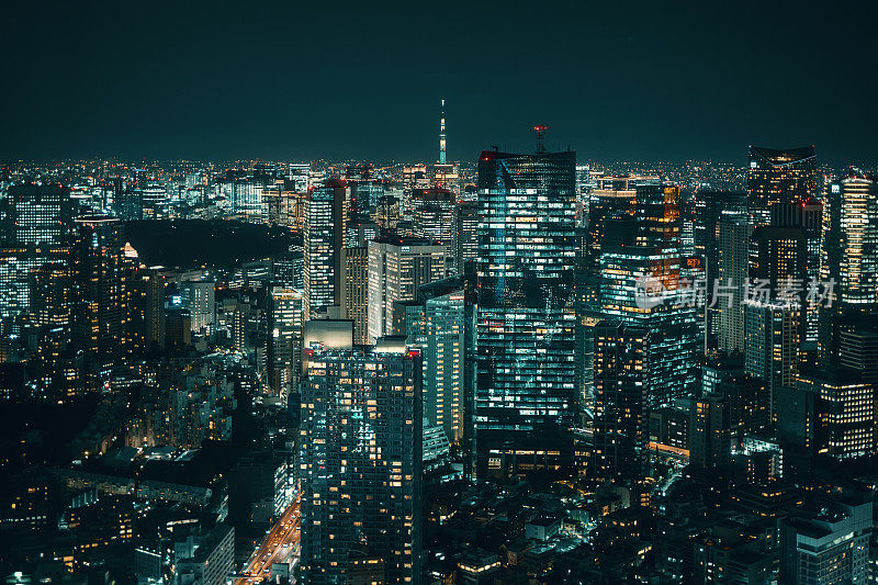 日本东京市中心的夜景