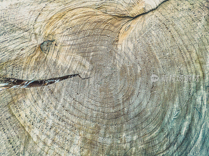 树桩干而轻的树桩，有裂纹作为纹理或背景