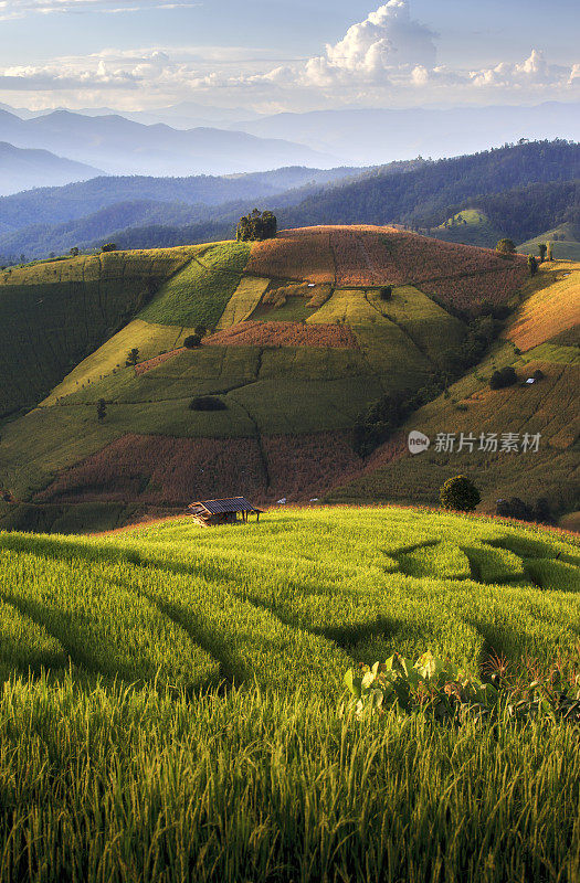 在泰国清迈的巴蓬蓬山丘陵山谷的农村地区稻田梯田。