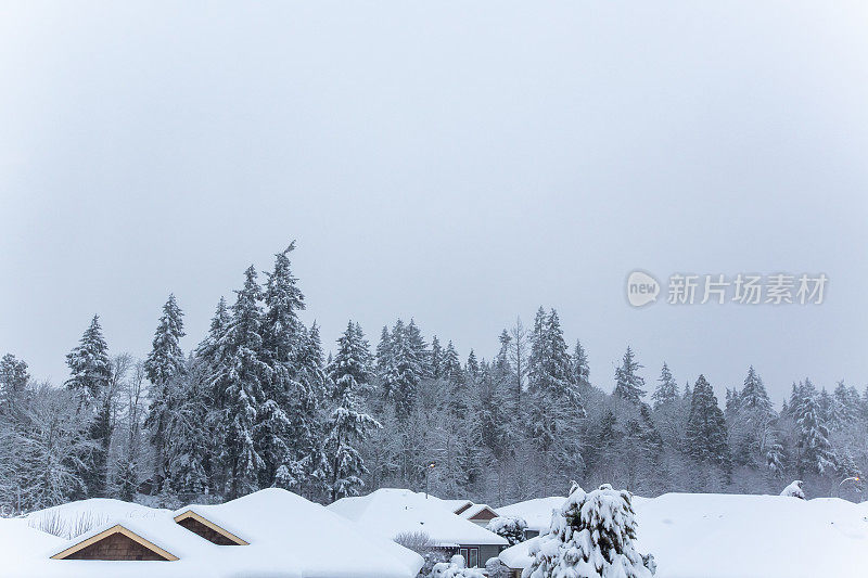 白雪皑皑的屋顶