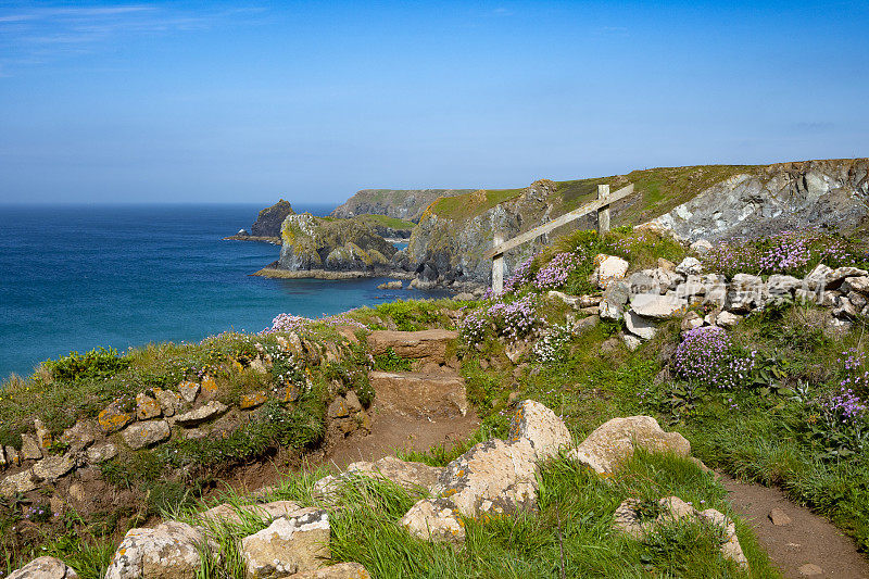 英格兰康沃尔郡蜥蜴角附近的西南海岸步道