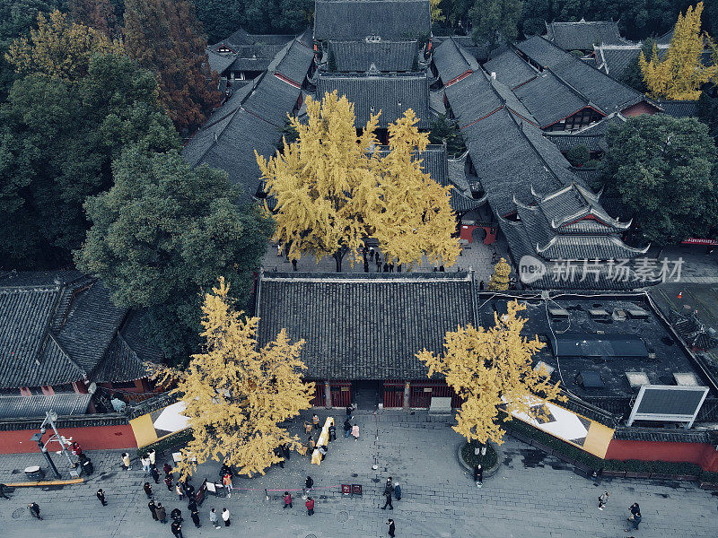 银杏树季节鸟瞰文殊寺，中国成都