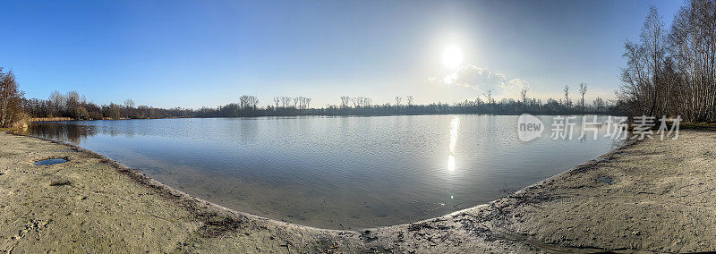 冬天阳光明媚的德国，芦苇丛生的美丽湖泊。