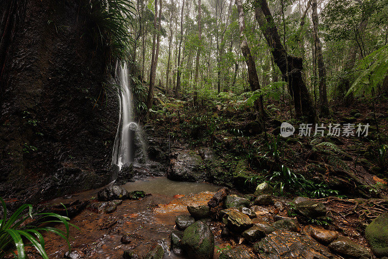 澳大利亚热带雨林荒野瀑布的广角图像