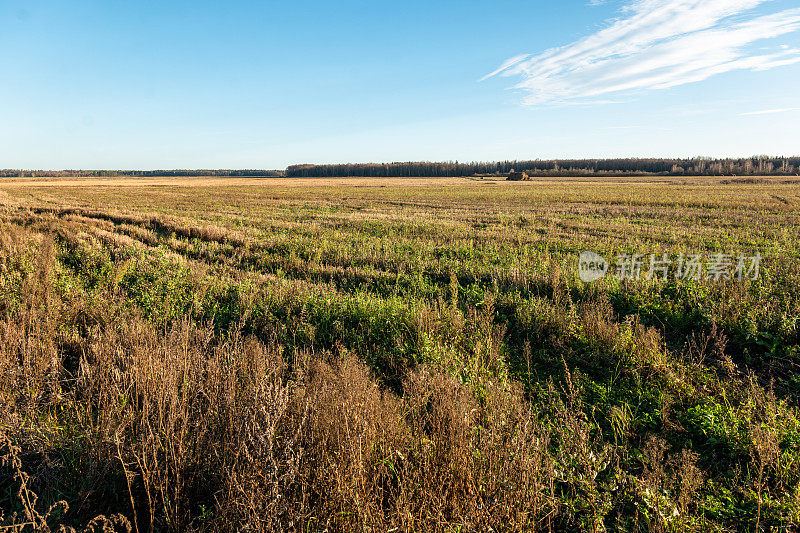 白俄罗斯:农村农田