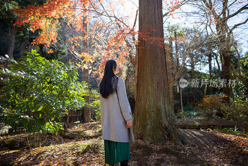 日本女人站在大自然的后视图