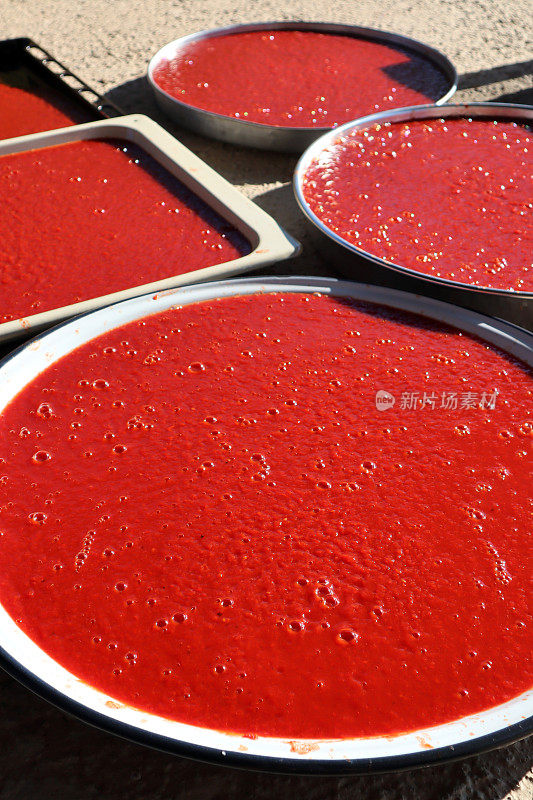自制番茄酱放在秋天的托盘上，放在阳光下