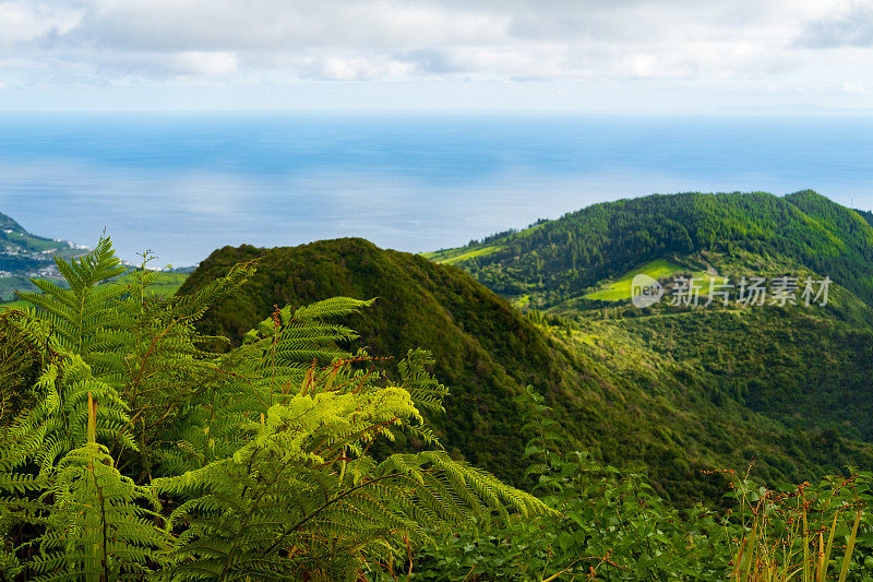 青山的全景。