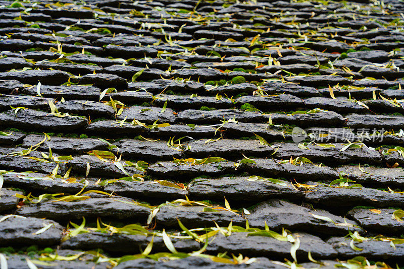 青苔覆盖石板屋顶与落叶