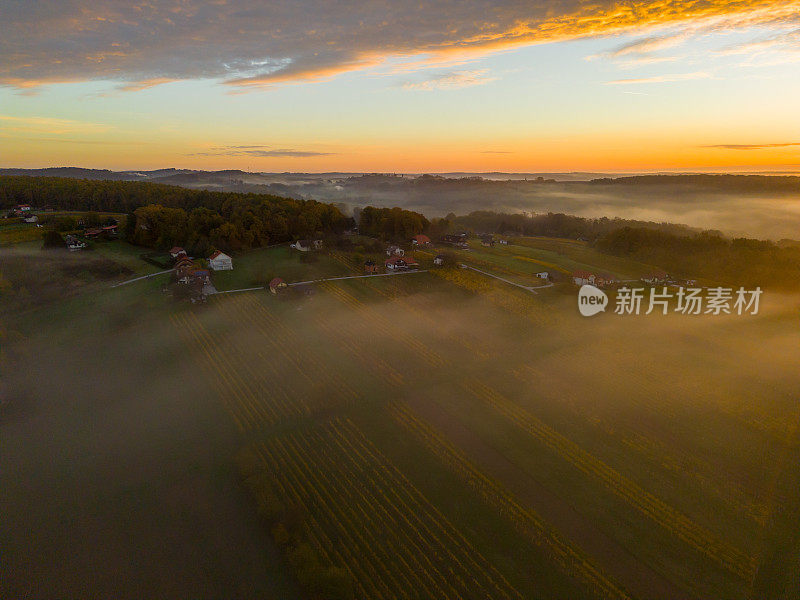 夕阳下茂密的树木和农田的田园诗般的景色