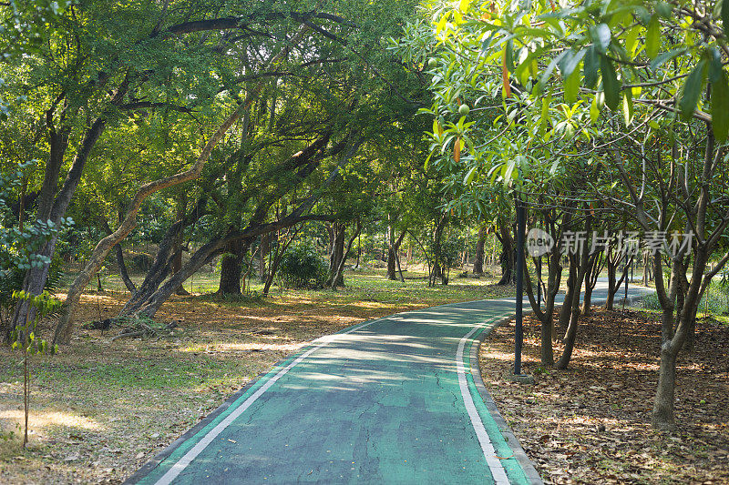 曼谷公园里弯曲的自行车道