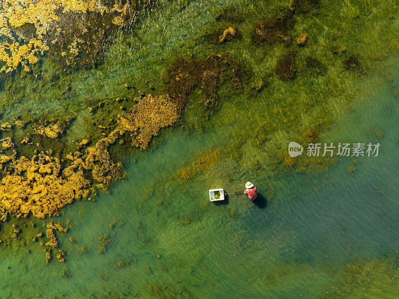 一个渔夫正在湖里捡水藻