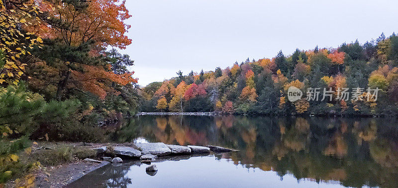 秋季纽约州立公园的明纽斯加湖景观