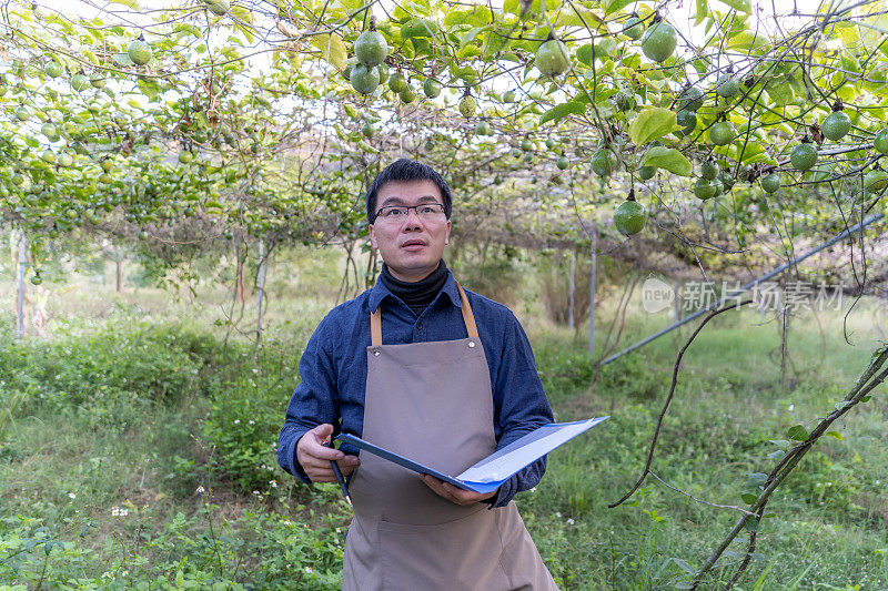 一位亚洲男性农民在百香果园登记了数据