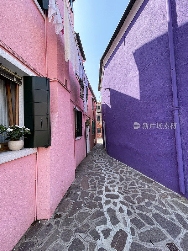 在意大利威尼斯布拉诺的威尼斯泻湖岛上，狭窄的小巷两旁排列着粉红色和紫色的渔民小屋的特写图像，湛蓝晴朗的天空，聚焦在前景上