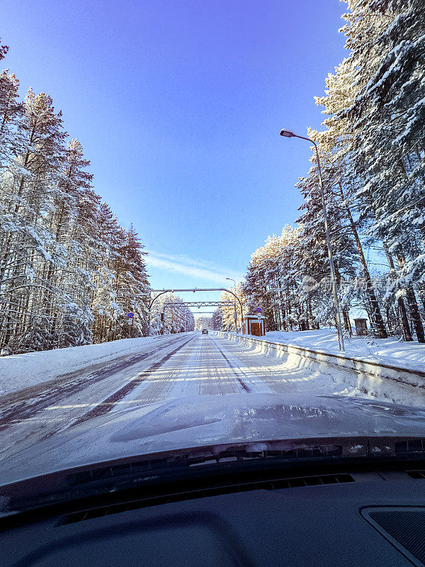 冬季公路穿过冬云杉树林。