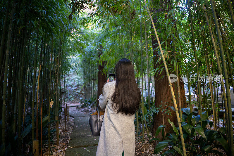 日本女子在竹林拍照的后视图