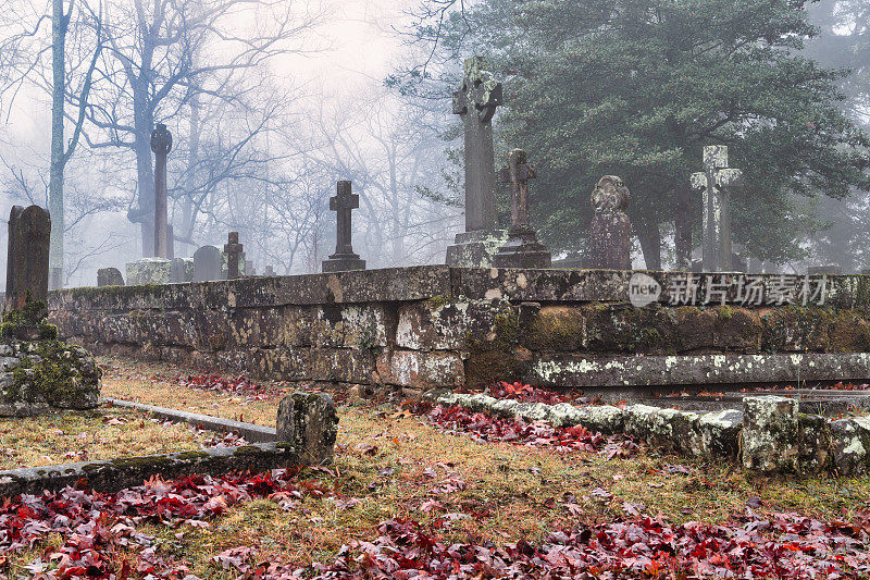 清晨雾气弥漫，在一个古老的墓地里，树木和苔藓覆盖着墓碑、石墙和十字架。秋叶覆盖着田纳西州塞瓦尼大学墓地的地面。