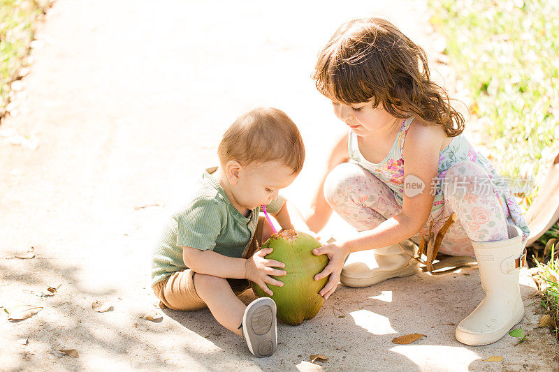 一个4岁的小女孩帮助她15个月大的小弟弟与家人一起享受简单的快乐，并第一次体验新鲜收获的椰子的味道，在温暖的春日里，在佛罗里达州南部的户外用吸管喝椰子水