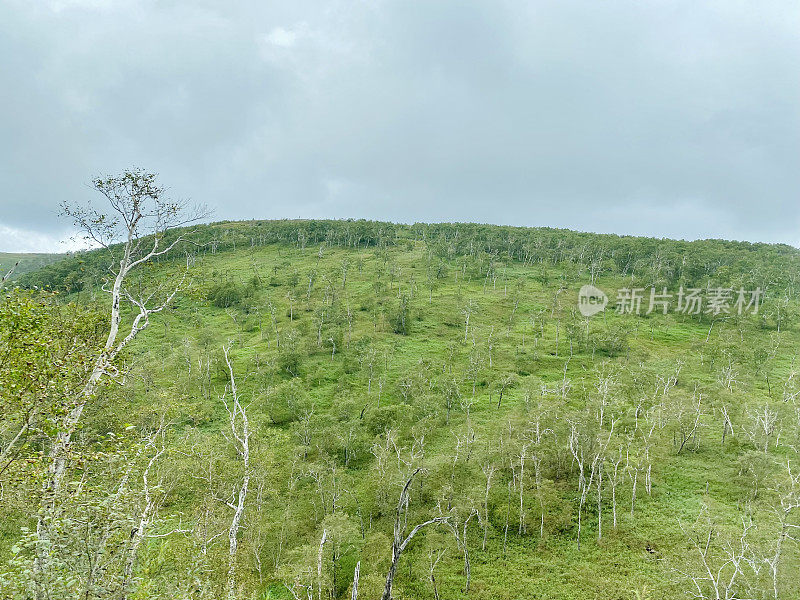 中国长白山天池美景