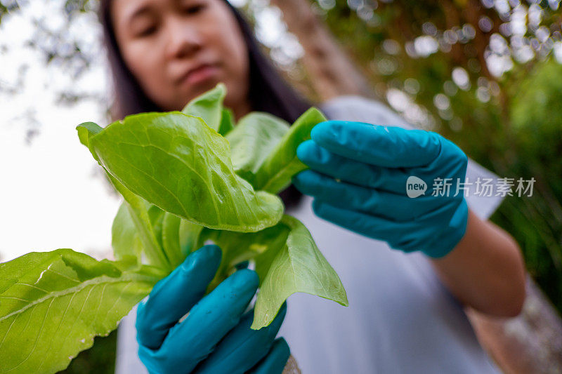 手持绿叶植物的女园丁。