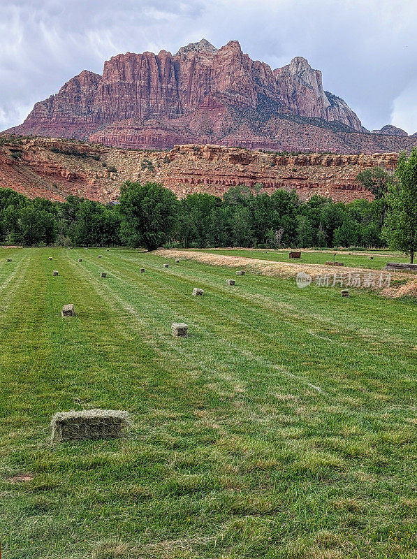 2023年春末，犹他州罗克维尔牧场的第一批干草作物打成捆