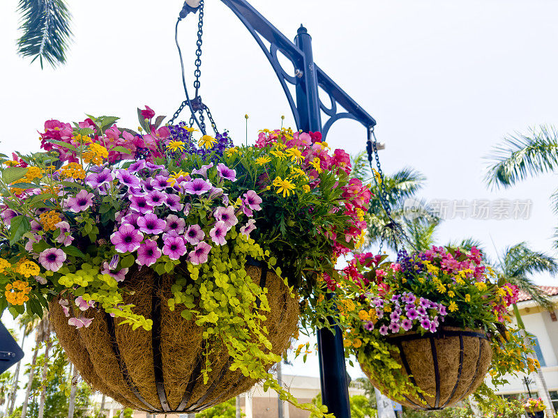 城市街道上悬挂着五颜六色的盆花