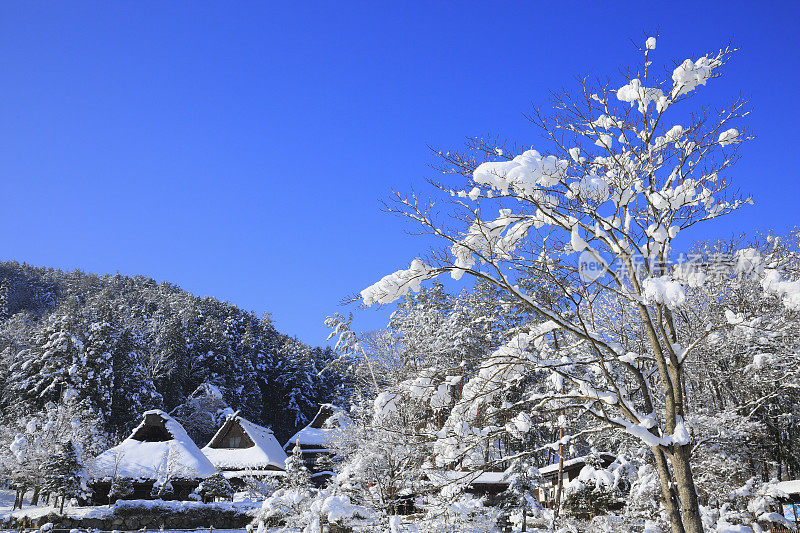 雪中的飞驒村，日本，岐阜县，高山，岐阜市