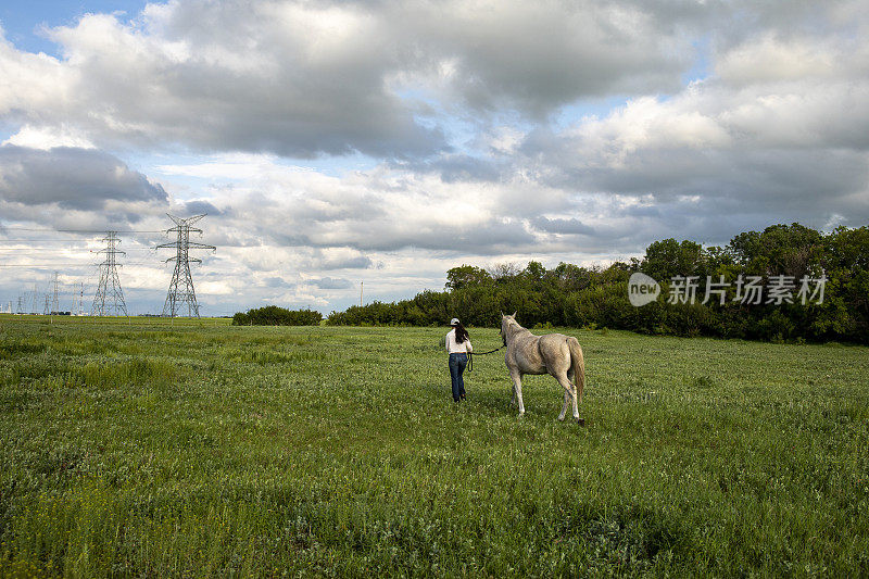 一位女农民牵着马走过农田，旁边是太阳能板