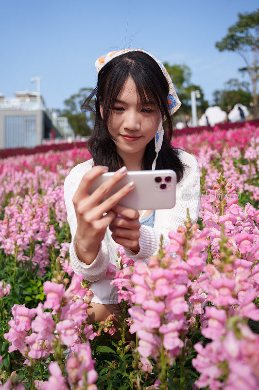 女孩用手机给花拍照