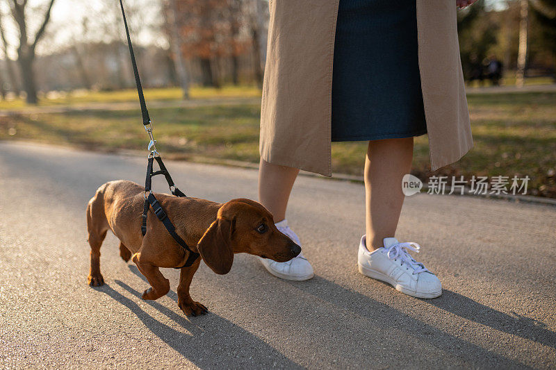 在公园遛狗的女人