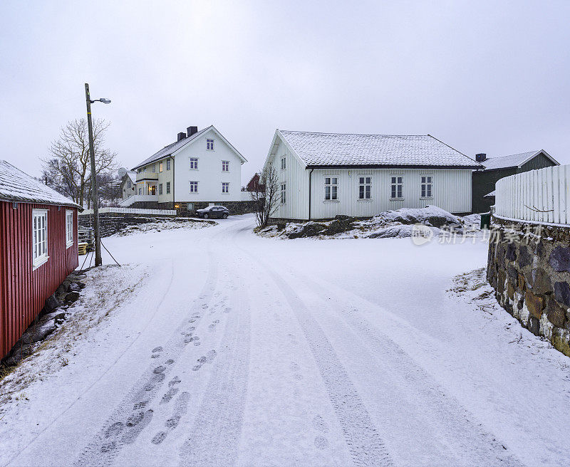 大雪覆盖了房屋和地面。