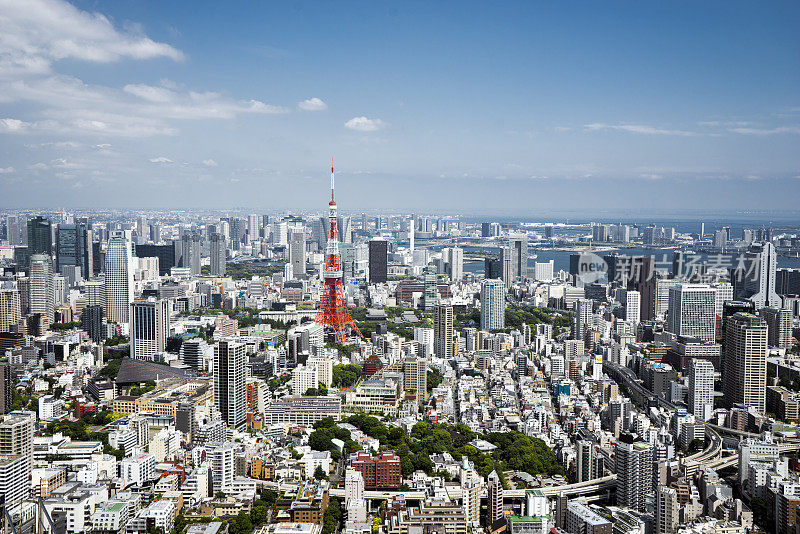 日本东京的城市,