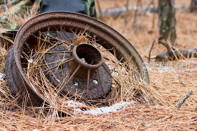 生锈的旧松针覆盖的车轮躺在森林里。