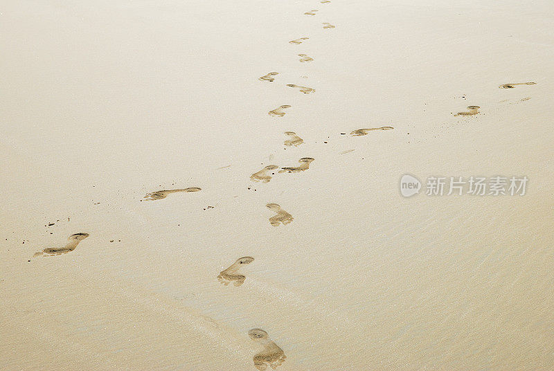 在沙地中穿越小径