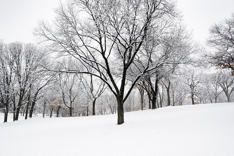 冬天的雪景